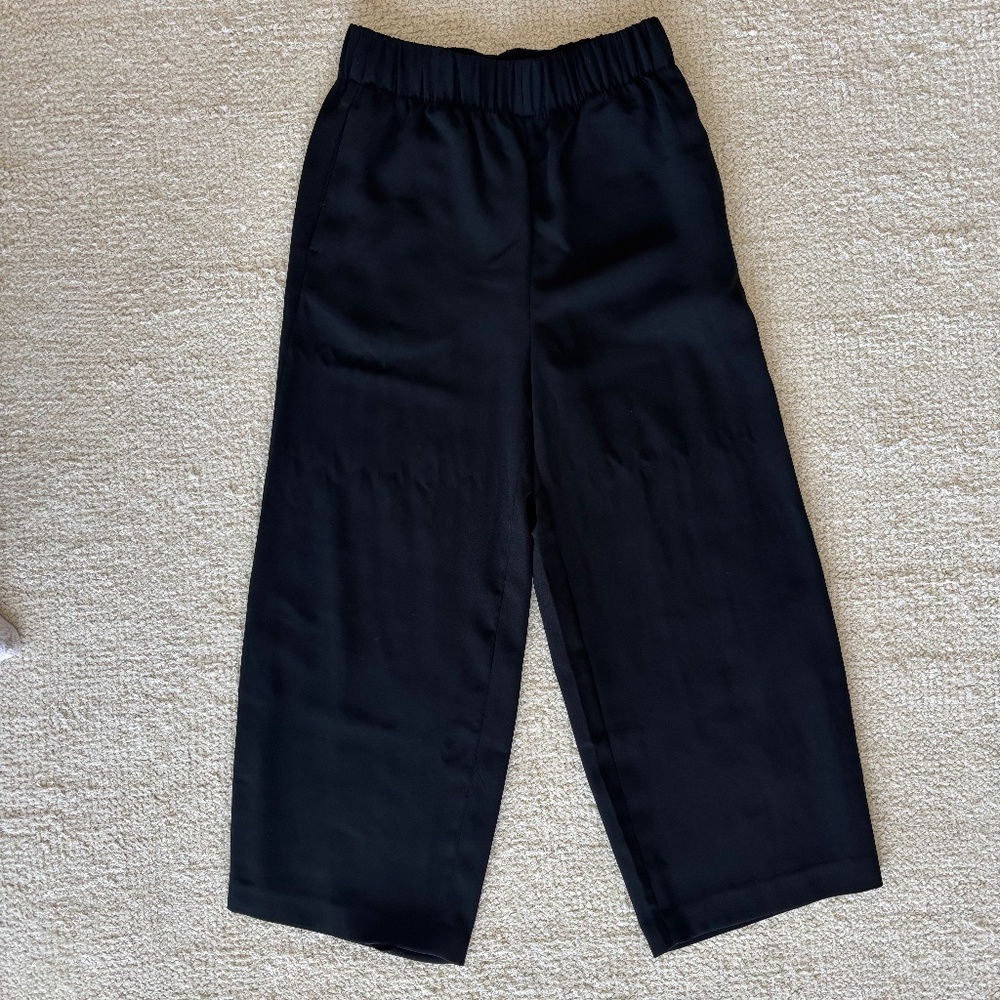 Cropped wide leg trouser pants never worn